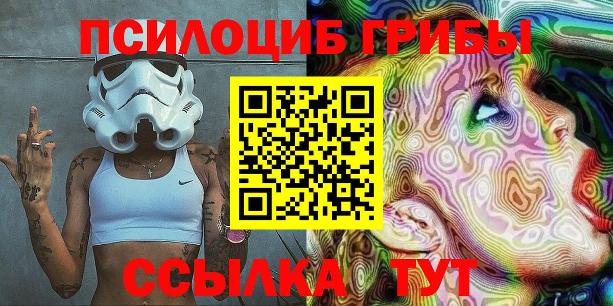 Галлюциногенные грибы Psilocybe Ефремов