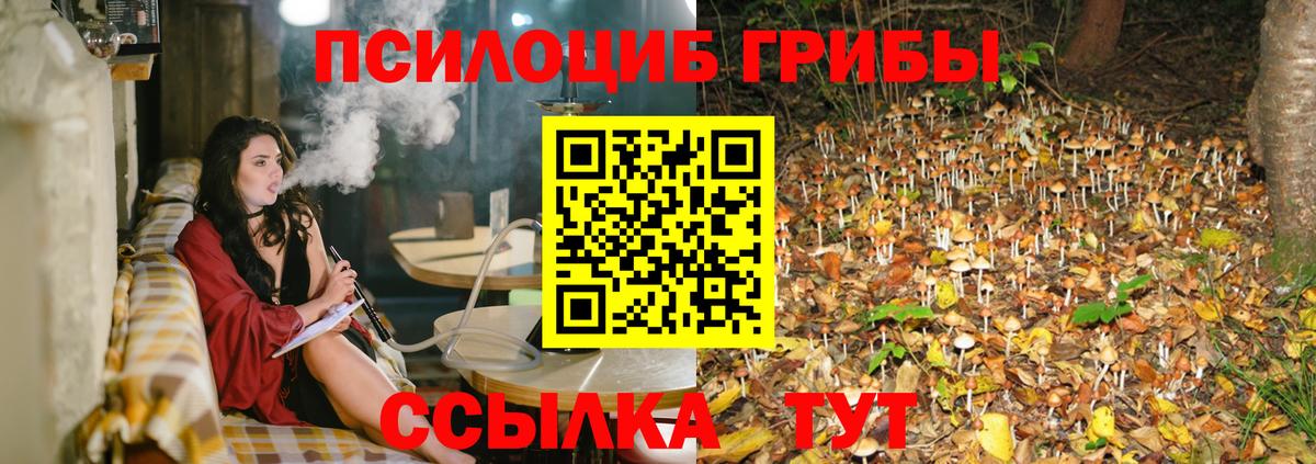 Псилоцибиновые грибы Psilocybine cubensis  Вход с VPN  Ефремов 